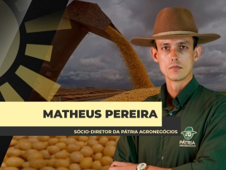 site Matheus Pereira