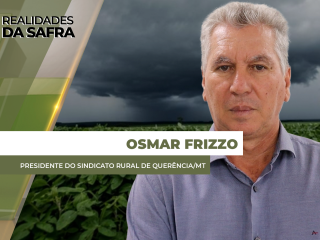 site-OSMAR-FRIZZO