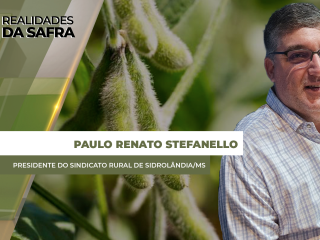 site-Paulo-Renato