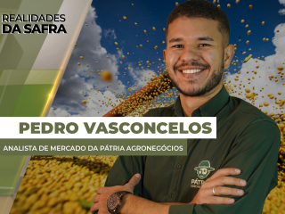 site-Pedro-Vasconcelos