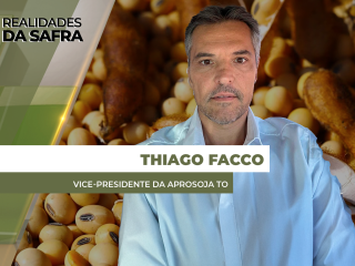 site-THIAGO-FACCO