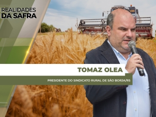 site Tomaz Olea
