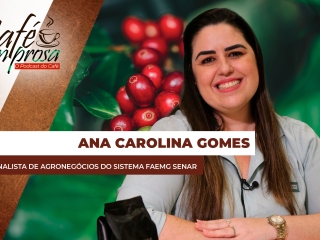 thumb Ana Carolina Gomes  1