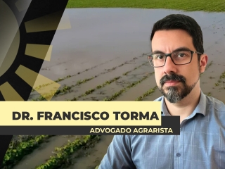 THUMB_BDA_2024_entrevistado site