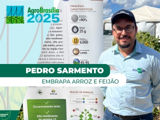 THUMB_EMBRAPA - PEDRO -  SITE