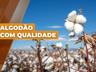 Thumb matéria 21-08