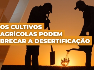 Thumb matéria João