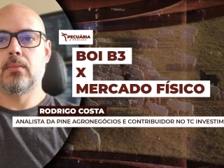 THUMB PECUÁRIA & MERCADO - 001