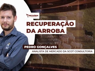 THUMB PECUÁRIA & MERCADO - 001