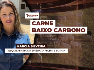 THUMB PECUÁRIA & MERCADO - 002