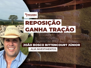 THUMB PECUÁRIA & MERCADO - 003