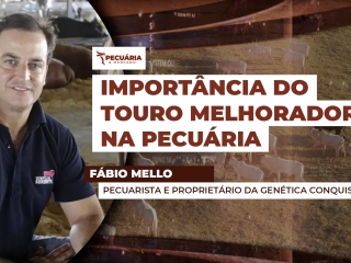 THUMB PECUÁRIA & MERCADO Fábio Mello PRODUTIVIDADE 02-05