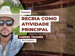 THUMB PECUÁRIA & MERCADO Gabriel Tavares