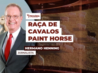 THUMB PECUÁRIA & MERCADO  - hermano