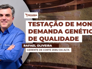 THUMB PECUÁRIA & MERCADO Rafael Oliveira - Gerente de Corte Zebu da Alta