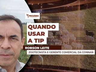 THUMB PECUÁRIA & MERCADO rodson leite