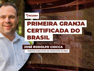 THUMB PECUÁRIA & MERCADO2