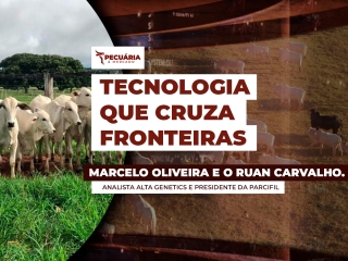 THUMB PECUÁRIA & MERCADO3