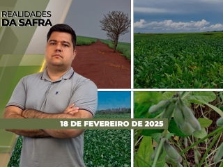 THUMB_REALIDADES_2025_18.02