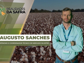 THUMB_REALIDADES_2025 augusto sanches  site