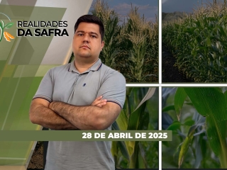 THUMB_REALIDADES_2025_ INTEGRA THUMB 29-04