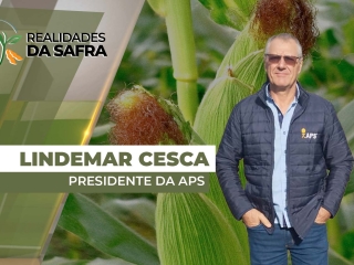 THUMB_REALIDADES_2025 Lindemar Cesca site