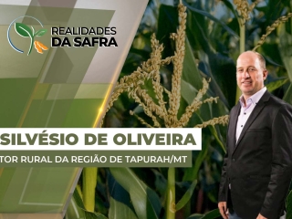 THUMB_REALIDADES_2025_Silvésio de Oliveira Site