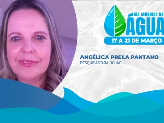 THUMB SEMANA DA AGUA - 02