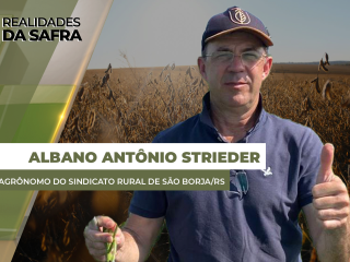 thumb-site-ALBANO-ANTÔNIO-STRIEDER-21-01