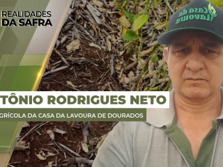 thumb-site-Antônio-Rodrigues-Neto-09-01