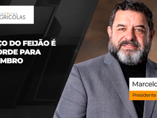 THUMB YOUTUBE E SITE FEIJÃO
