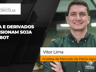THUMB YOUTUBE E SITE soja