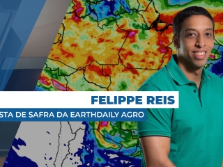 Thumbs_Boletins_2025_FELIPE REIS