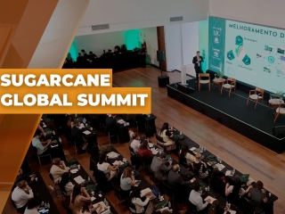 Thumbs_Boletins_2025_OTIMIZADO