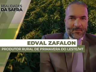 THUMBS - RDS 1 edval