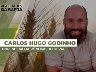 THUMBS - RDS 2 carlos