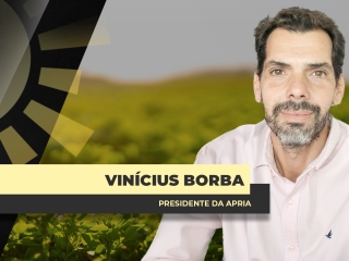 THUMBS - SITE - BDA - BORBA