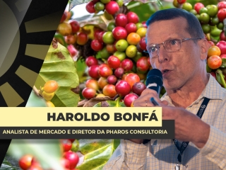 THUMBS - SITE - BDA - hodolfo