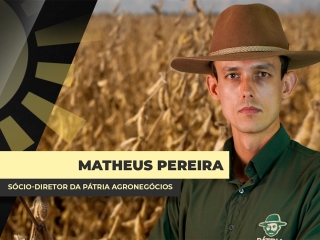 THUMBS - SITE - BDA - matheus@0,75x