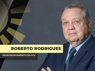 THUMBS - SITE - BDA - roberto