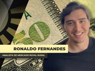 THUMBS - SITE - BDA - RONALDP