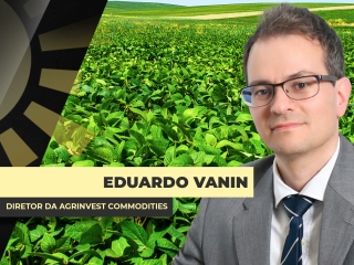 THUMBS - SITE - BDA - VANIN