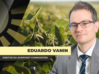 THUMBS - SITE - BDA - vanin@0,75x