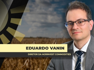 THUMBS - SITE - BDA - vanin