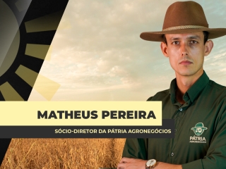 THUMBS - SITE - CORTE - BDA