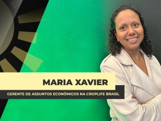 THUMBS - SITE - CORTE - BDA - MARIA