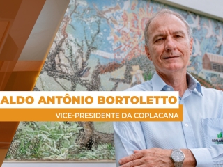 THUMBS - SITE - GNR - ARNALDO