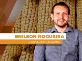 THUMBS - SITE - GNR - emilson