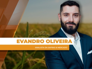 THUMBS - SITE - GNR - evandro