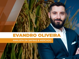 THUMBS - SITE - GNR - EVANDRO OLIVEIRA